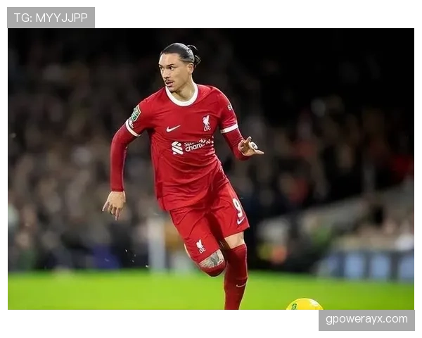 努涅斯进攻潜力持续释放，为球队注入新活力引关注