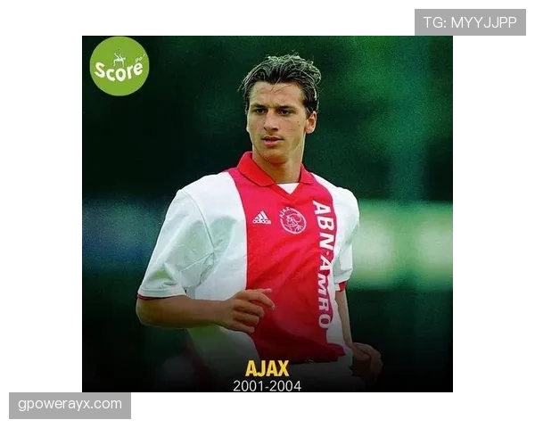 伊布拉希莫维奇今日最新消息