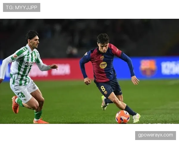 佩德里：半空间组织与串联核心